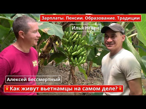 Видео: КАК ЖИВУТ ВЬЕТНАМЦЫ, такое не покажут по ТВ! Пенсия 300$, а зарплаты от 250$! Вьетнам 2021