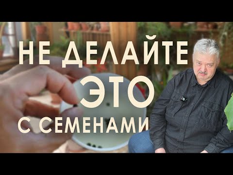 Видео: Предпосевная обработка семян. Что работает, а что можно пропустить?