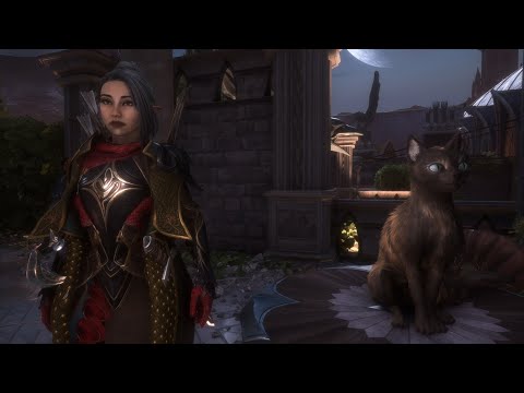 Видео: Кофе и коты Dragon Age: The Velguard СТРИМ №4