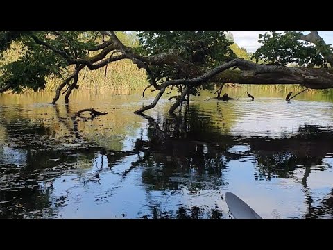 Видео: ОЗЕРО СУЯ !!! маленькое едвенчур в БЕЛАРУСИ ❤️💚