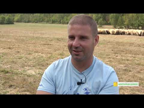 Видео: Животновъден дневник: Във фермата на Иван Иванов в село Чакали, автор: Мирела Спасова