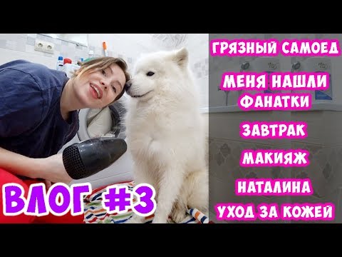 Видео: ВЛОГ #3. МЕНЯ НАШЛИ ФАНАТЫ. ДНЕВНОЙ МАКИЯЖ. ЖИЗНЬ БЛОГЕРОВ. ГРЯЗНЫЙ САМОЕД.