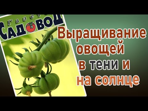 Видео: Выращивание овощей в тени и на солнце