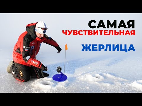 Видео: ЖЕРЛИЦА НА СУДАКА, или самая чувствительная жерлица на любую осторожную рыбу. Показываю как делать!