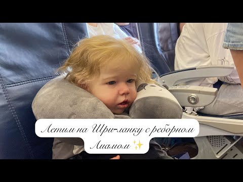 Видео: Летим на Шри-Ланку с реборном Лиамом ❤️ Flying to Sri Lanka with reborn Liam❤️#реборн #vlog