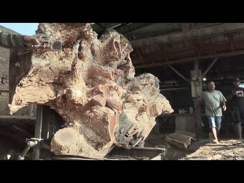 Видео: От гигантского корневого пня до потрясающего стола — невероятная трансформация древесины!