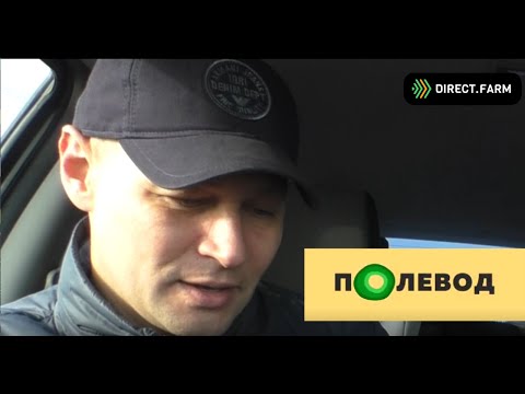 Видео: Способы внесения минеральных удобрений под подсолнечник: 1 пара листьев