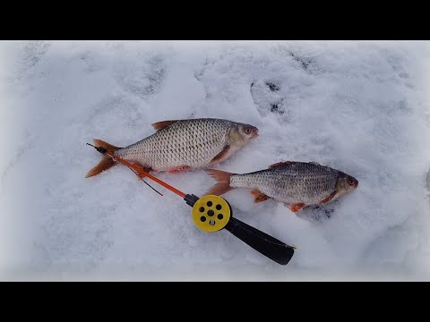 Видео: Рыбалка со льда,  два дня - две погоды.