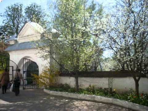 Видео: город Суджа