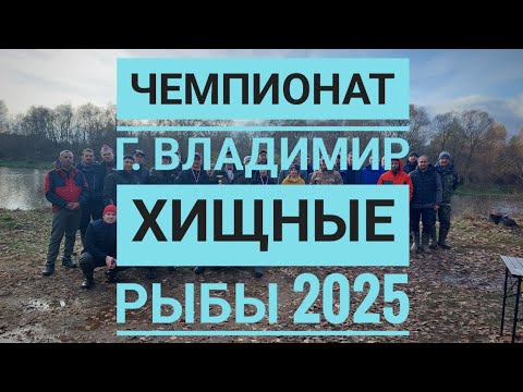 Видео: Хищные Рыбы 2025. Соревнования по ловле спиннингом с берега🎣