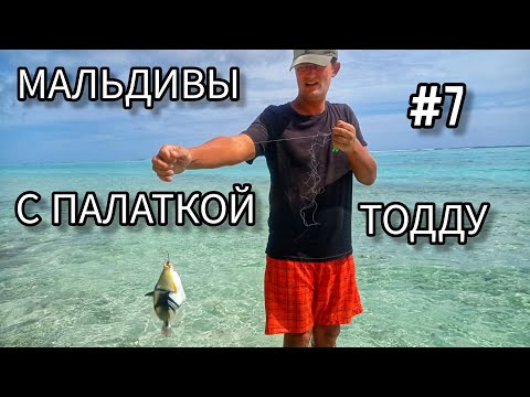 Видео: 7. Мальдивы с палаткой. Впервые ограбили. Остров Тодду (Thoddoo)