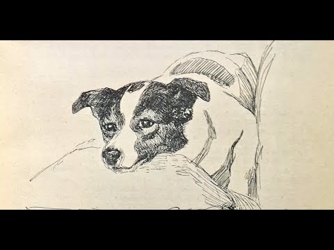 Видео: «Тоска по родине». Рассказ З. Анисимовой.