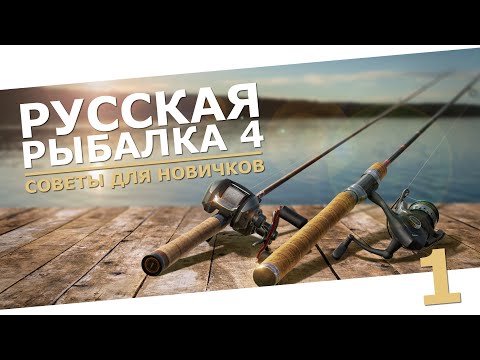 Видео: РУССКАЯ РЫБАЛКА 4 - Советы для новичков, как играть в 2024 / Стрим 1