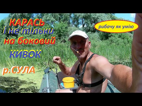 Видео: КАРАСЬ і не тільки на боковий КИВОК. Сула в районі Лубен.