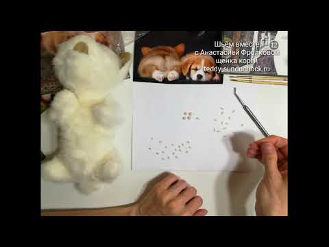 Видео: МК Корги. Урок 12.1 Лепка подушечек для лапок.