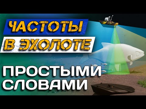 Видео: Как пользоваться эхолотом? Выбираем частоту сканирования!