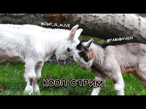 Видео: КООПСТРИМ/ LEGO И GOAT SIMULATOR