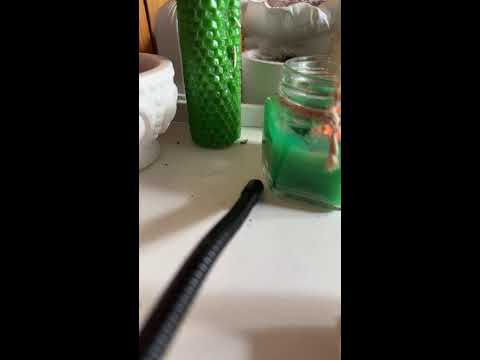 Видео: Антонина Тернер в прямом эфире!