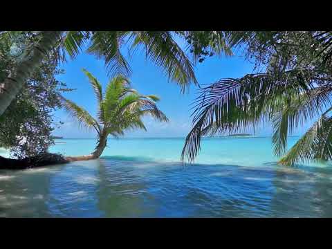 Видео: Шум Моря Шум Прибоя Релакс Музыка для Сна Ocean Ambience on a Tropical Шум океана Музыка для сна