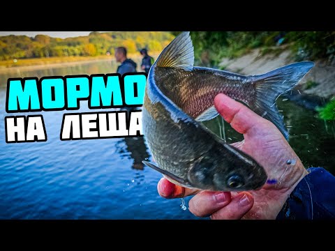 Видео: Мормышинг на леща в Курьяново | Metsui Trigger TR602XULS
