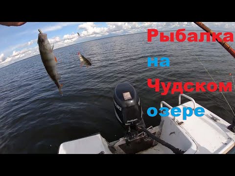 Видео: РЫБАЛКА НА САМОМ БОЛЬШОМ ОЗЕРЕ НАШЕЙ СТРАНЫ.ЧУДСКОЕ ОЗЕРО.ЛОВИМ ОКУНЕЙ НА ГИРЛЯНДУ.29.08.2020