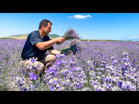 Видео: ЖИЗНЬ В ГОРНОЙ ДЕРЕВНЕ! ПРИГОТОВИЛ НАСТОЯЩИЙ КОМПОТ И ВКУСНЕЙШУЮ КУРИЦУ С КАРТОШКОЙ