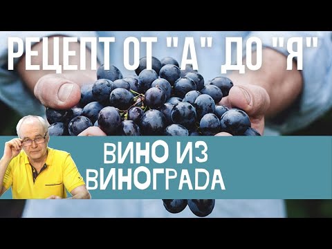 Видео: Вино из винограда. Виноградное вино за 7 шагов. Простой рецепт для новичков. / Домашнее вино.