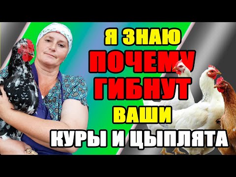 Видео: Я знаю, почему гибнут ваши куры и цыплята.