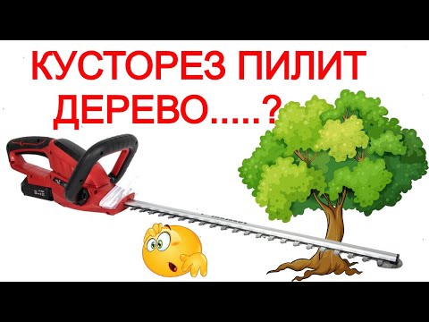 Видео: ЗВЕРЬ 😱  Аккумуляторный Кусторез Vitals и Живая Изгородь