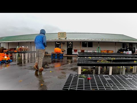 Видео: На ферму обрушился ужасный шторм