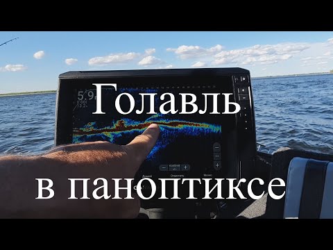 Видео: Паноптикс и голавль