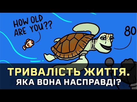 Видео: Як визначається тривалість життя [MinuteEarth]