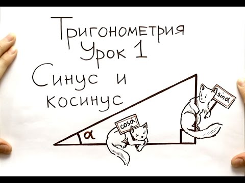 Видео: Синус и косинус