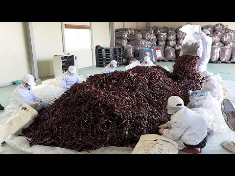 Видео: Коллекция корейских пищевых фабрик