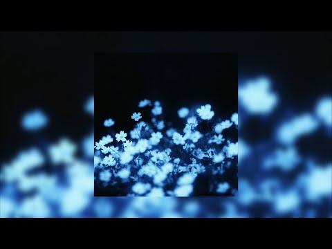 Видео: ✩°｡⋆ плейлист чтобы почувствовать вайб  кто знает эти песни? ⸜ 🎧✮