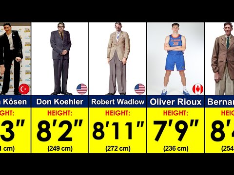Видео: Самые высокие люди в мире всех времен