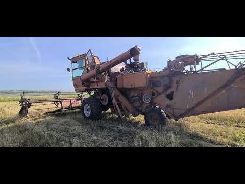 Видео: Свал урожая 2024