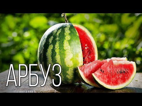 Видео: Арбуз: Символ Лета | Интересные факты про арбуз