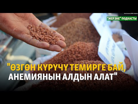 Видео: "Өзгөн күрүчү темирге бай, анемиянын алдын алат" | "Жер эне" подкасты
