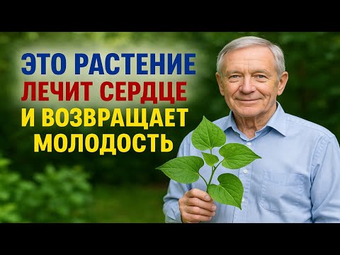 Видео: Почему сердце устает и как вернуть ему мощь без лекарств - натуральный способ восстановления