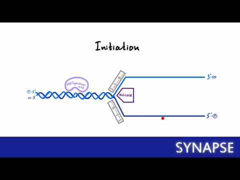 Видео: USMLE Step 1 - Репликация ДНК