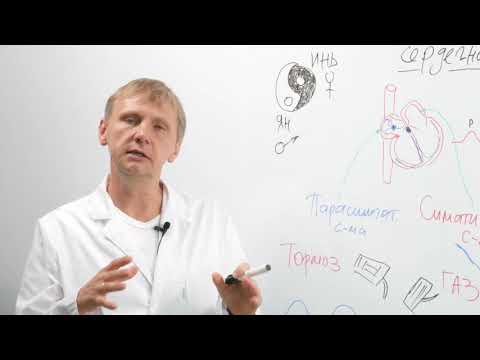 Видео: Actenzo  Что такое Вариабельность сердечного ритма