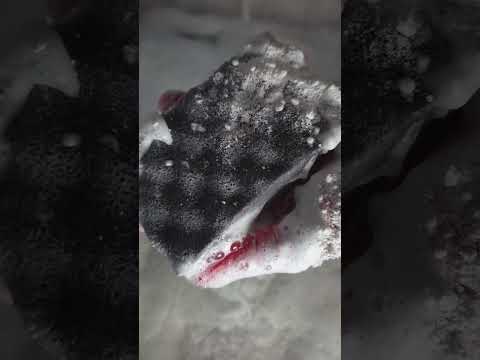 Видео: ASMR/sponge squeezing#asmrvideo#asmrspongesqueezing#relax#powder#foryou#squeezingsponges#асмр