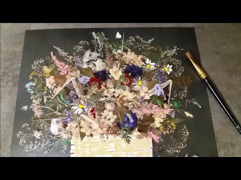 Видео: Картина из сухих цветов.