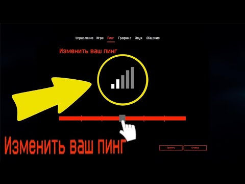 Видео: Бесплатный EXITLAG