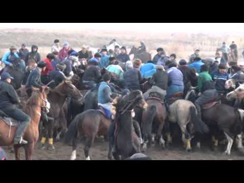 Видео: Кокпар Шардара Кызылкум ауылы Данияр 29.11.2015 ж. 4-болим (1-4 болим)