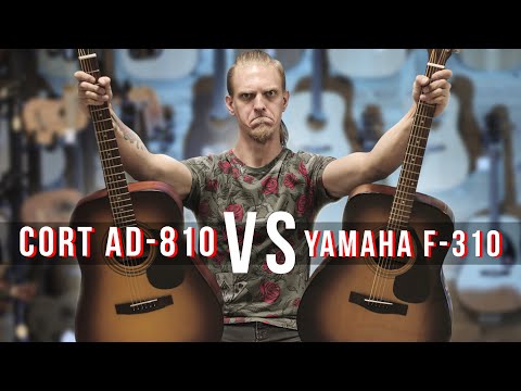 Видео: Yamaha F310 или Cort AD810, что выбрать новичку?