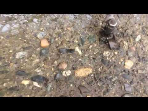 Видео: Мой гараж