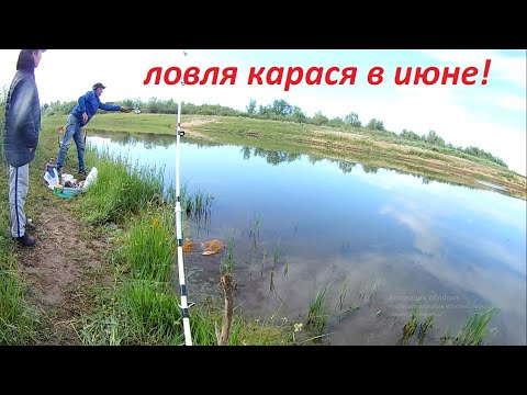 Видео: Ловля карася! Рыбалка в Корейском заливе! Актобе!