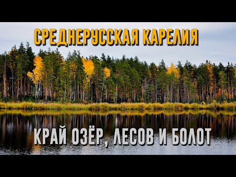 Видео: СРЕДНЕРУССКАЯ КАРЕЛИЯ | Край озёр, лесов и болот [4K 60 fps]